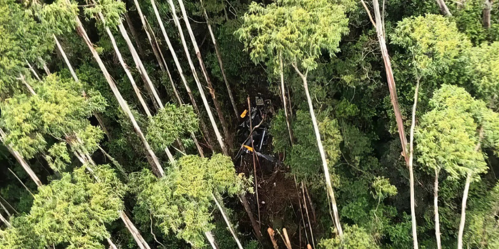fab-encerra-ocorrencia-sobre-helicoptero-encontrado-em-paraibuna
