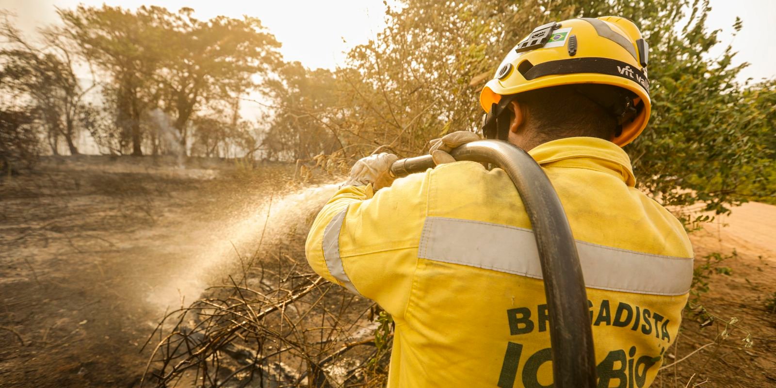 mais-de-17,3-milhoes-de-hectares-foram-queimados-em-2023-no-pais