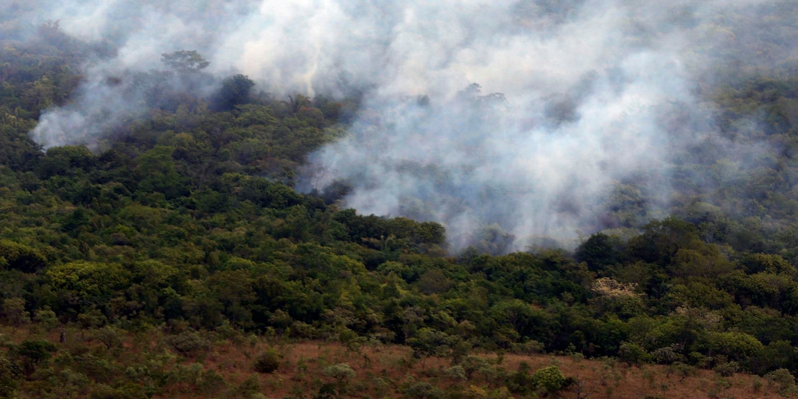 ibama-cria-plataforma-para-acompanhar-recuperacao-ambiental
