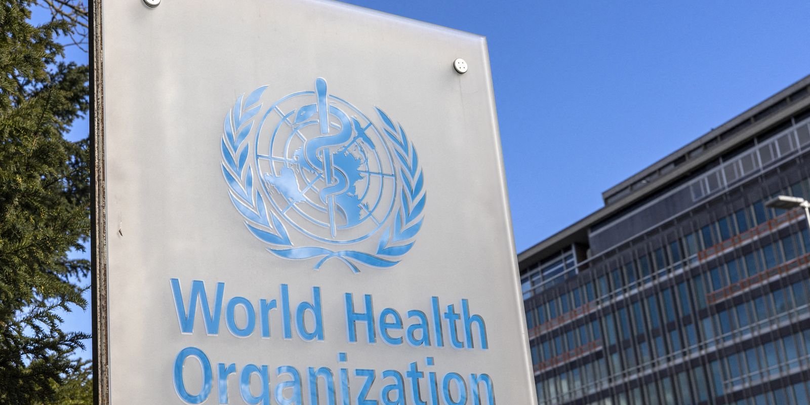 hepatites-virais-matam-3,5-mil-por-dia-no-mundo,-alerta-oms