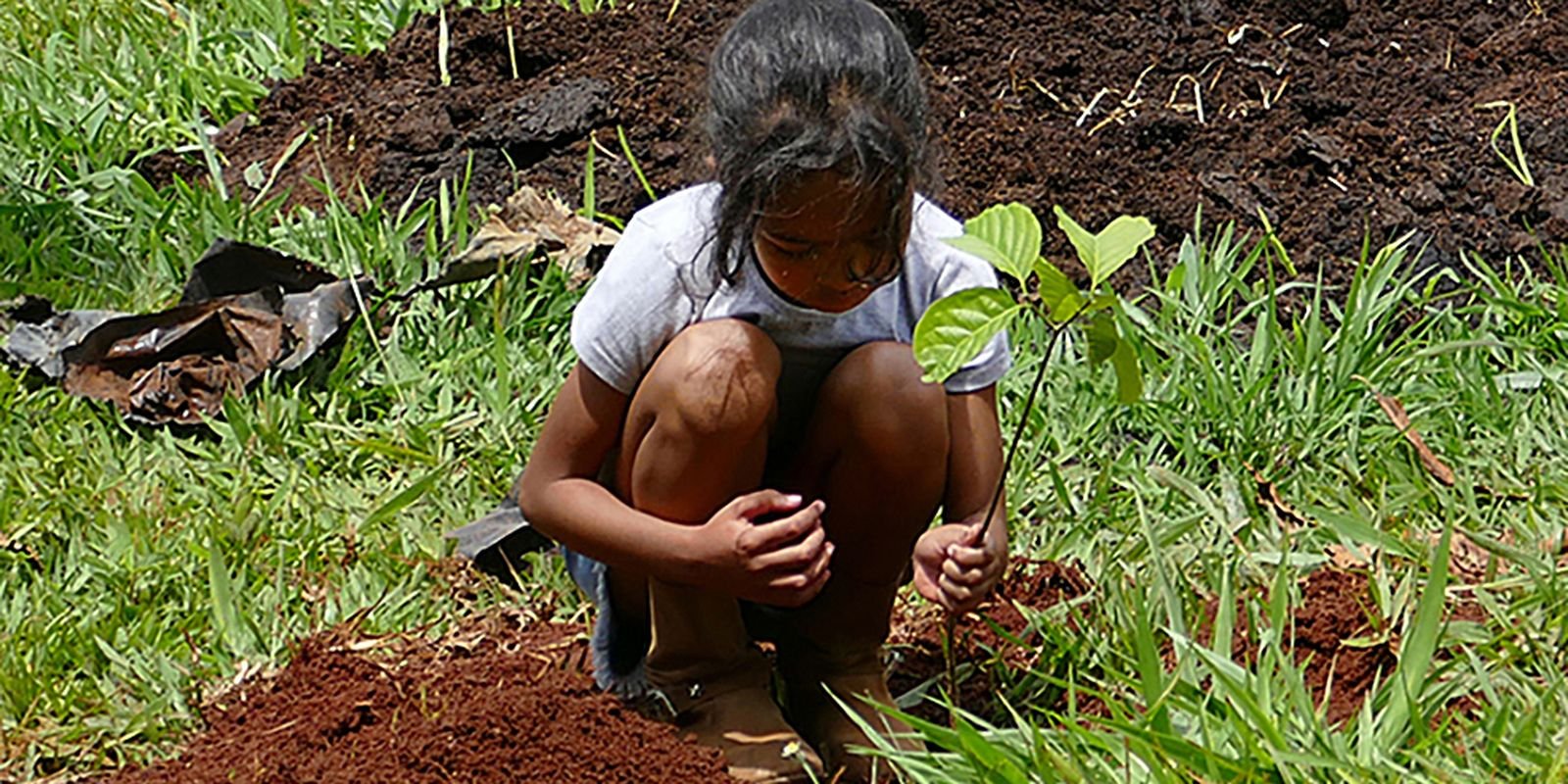 estudo-revela-efetividade-das-acoes-de-conservacao-ambiental