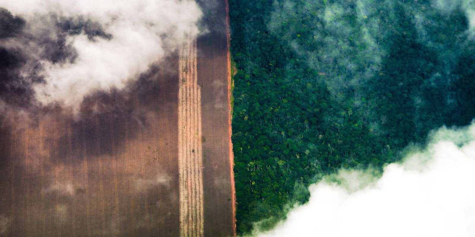 conhecimento-indigena-pode-melhorar-relacao-com-o-meio-ambiente